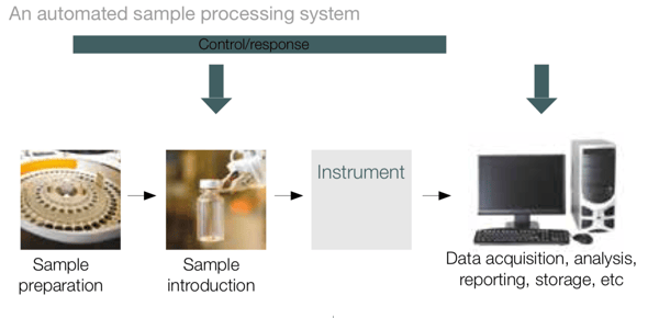 Automated sample processing